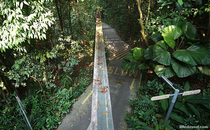 Old monorail track, Sentosa