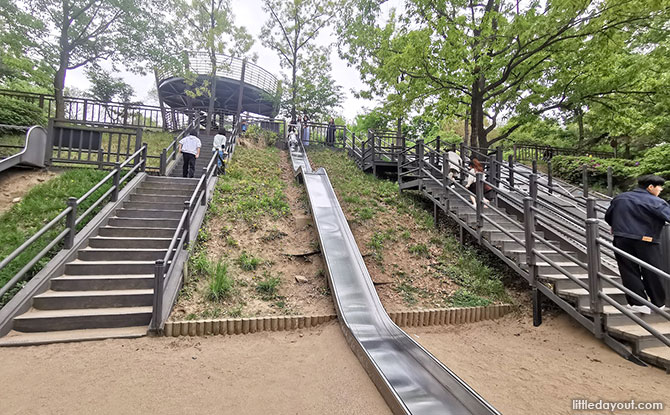 Seoul Forest Park: Nature & Play