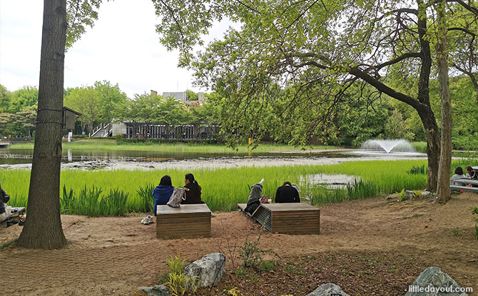 Picnicking at Seoul Forest