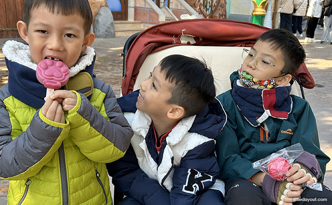 Shanghai Disneyland: How We Spent 2 Wonderful Days In The Theme Park As A Family 12 pawpsicle