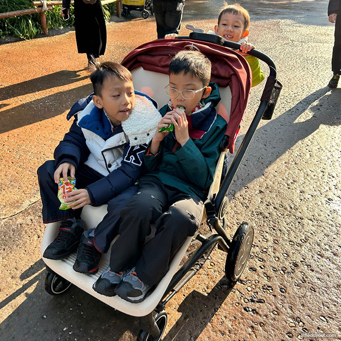 Shanghai Disneyland: How We Spent 2 Wonderful Days In The Theme Park As A Family 8 double stroller