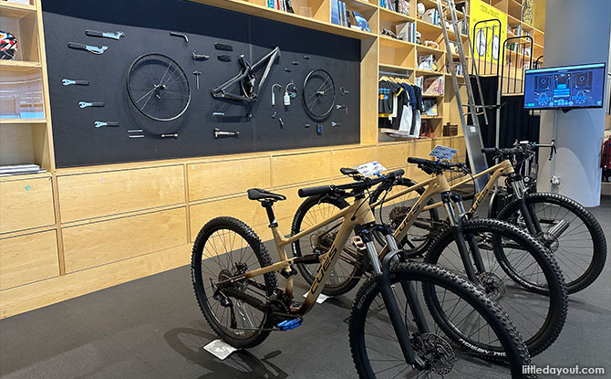 Shimano Cycling World library