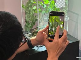 Hidden World: Creepy Crawlies Of Singapore Exhibition At Fort Canning Centre