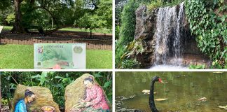 A Guide to Singapore Botanic Gardens: Things To See & Do At The UNESCO World Heritage Site & More