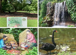 A Guide to Singapore Botanic Gardens: Things To See & Do At The UNESCO World Heritage Site & More