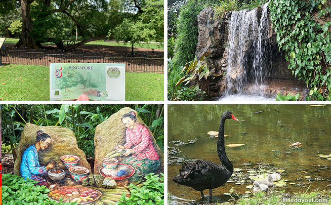 A Guide to Singapore Botanic Gardens: Things To See & Do At The UNESCO World Heritage Site & More