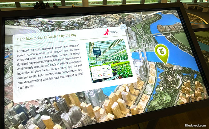 Interactive Screens at Singapore City Gallery