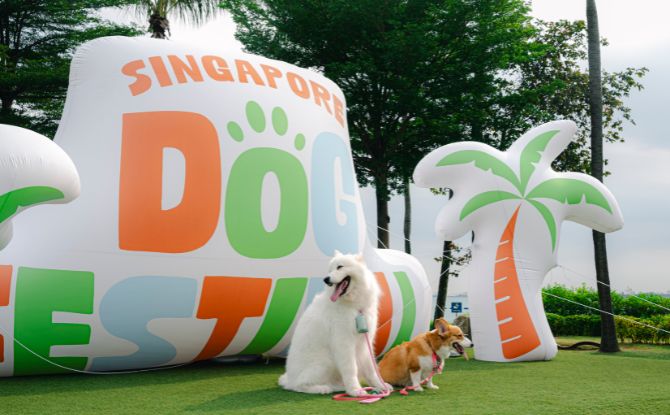 33 New Family-Friendly Things To Do In October 2026 With Kids In Singapore 14 Singapore Dog Festival 2026