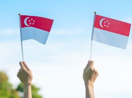National Day Celebration Ideas In Schools: Ways To Mark Singapore’s Birthday