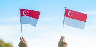 National Day Celebration Ideas In Schools: Ways To Mark Singapore’s Birthday