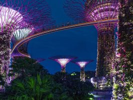 50+ Interesting Facts About Singapore For Kids