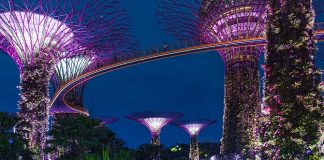 50+ Interesting Facts About Singapore For Kids