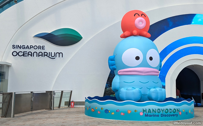 5.5 metre giant inflatable