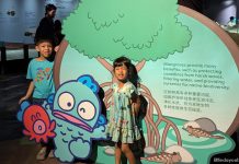 Singapore Oceanarium: Hangyodon Marine Discovery