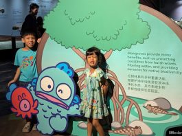 Singapore Oceanarium: Hangyodon Marine Discovery
