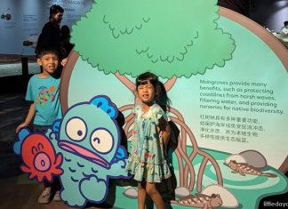 Singapore Oceanarium: Hangyodon Marine Discovery Singapore Oceanarium: Hangyodon Marine Discovery