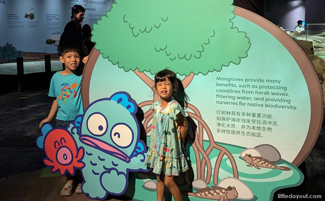 singapore oceanarium hangyodon 02