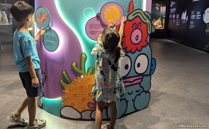 singapore oceanarium hangyodon 08