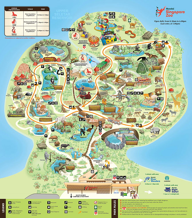 Exploring the Singapore Zoo Map: Navigating Wildlife Wonders