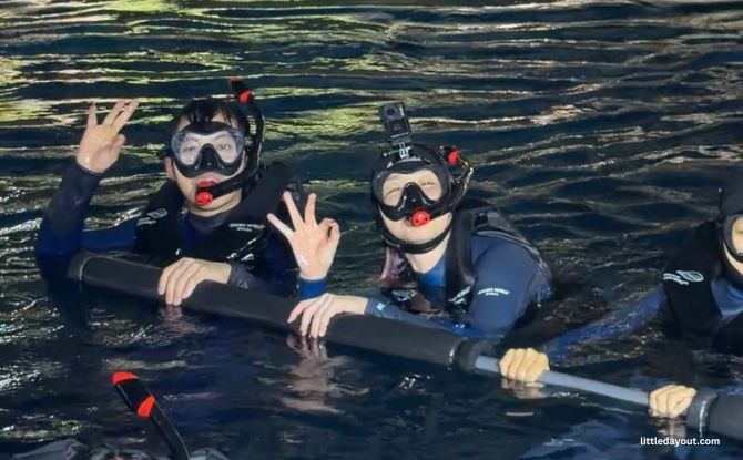 PADI Discover Snorkelling At Singapore Oceanarium: Swim With Manta Rays & Sharks 5 PADI Discover Snorkelling at Singapore Oceanarium