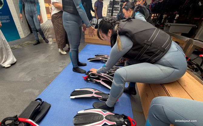 PADI Discover Snorkelling At Singapore Oceanarium: Swim With Manta Rays & Sharks 2 Snorkelling equipment is provided, along with changing facilities and lockers.