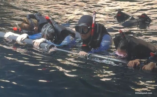 PADI Discover Snorkelling At Singapore Oceanarium: Swim With Manta Rays & Sharks 3 What Happens During PADI Discover Snorkelling?