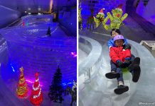 Snow City To Close On 30 September 2026 Snow City To Close On 30 September 2026