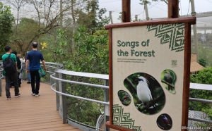 Amazing Guide To Bird Paradise: Walk-In Aviaries, Presentations, Tips ...