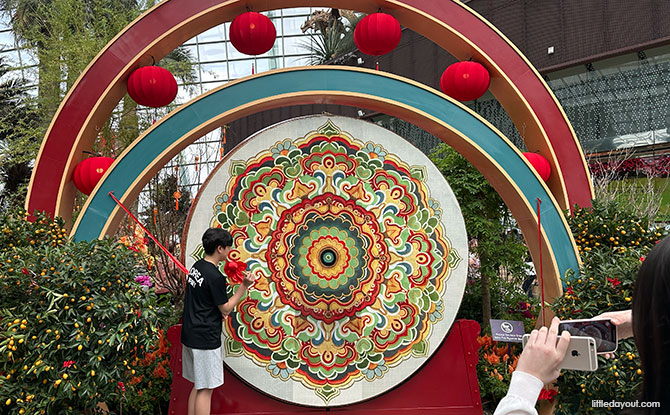 Spring Blossoms At Gardens By The Bay: Gallop Into Prosperity Till 1 March 6 Blooming Drum of Spring