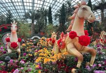 Year Of The Horse 2026 CNY Greetings Spring Blossoms At Gardens By The Bay: Gallop Into Prosperity