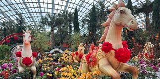 Spring Blossoms At Gardens By The Bay: Gallop Into Prosperity