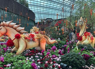 Things To Do This Weekend In Singapore: 24 To 25 January 2026 Things To Do This Weekend In Singapore: 24 To 25 January 2026