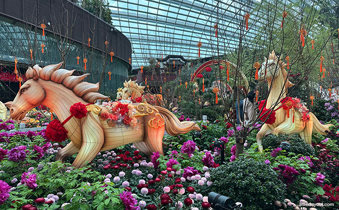 Things To Do This Weekend In Singapore: 24 To 25 January 2026 Things To Do This Weekend In Singapore: 24 To 25 January 2026