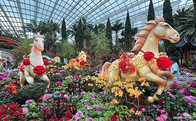 Things To Do This Weekend In Singapore: 24 To 25 January 2026 4 Spring Blossoms