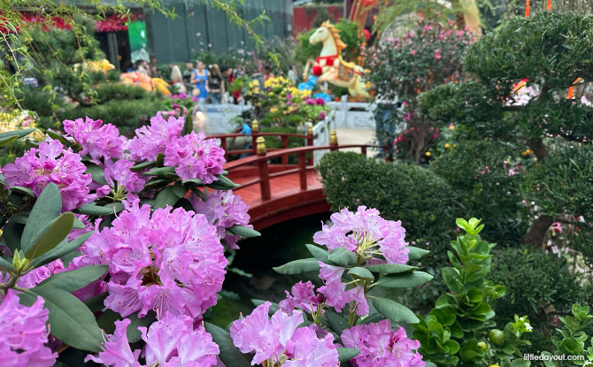 Spring Blossoms At Gardens By The Bay: Gallop Into Prosperity Till 1 March 4 Jiangnan Gardens landscape