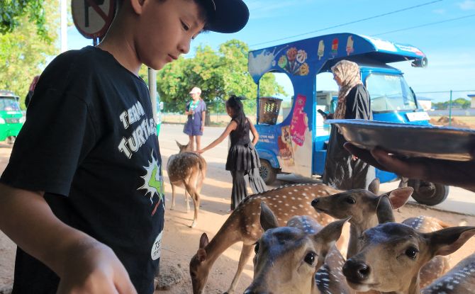 Sri Lanka With Kids: 9-Day Trip To The Pearl Of The Indian Ocean 5 deer park, close to Fort Federick