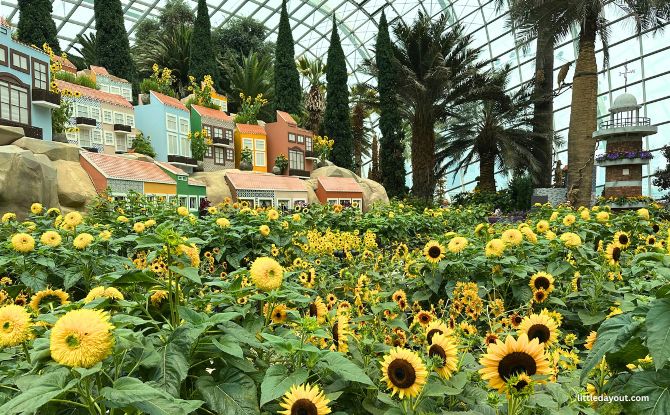 33 New Family-Friendly Things To Do In October 2026 With Kids In Singapore 12 Alfama, Lisbon’s Historic Neighbourhood at the Flower Dome