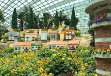 Sunflower Surprise 2026: Garden By The Ocean – More Than 5,000 Sunflowers At Gardens By The Bay Sunflower Surprise 2026: Garden By The Ocean At Gardens By The Bay