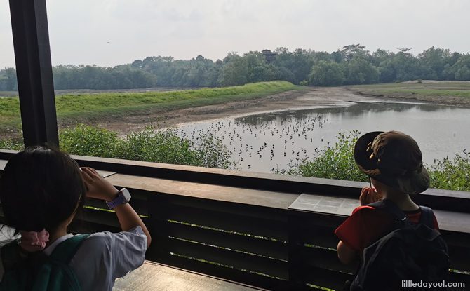 Amazing Guide To Sungei Buloh Wetland Reserve Amazing Guide To Sungei Buloh Wetland Reserve