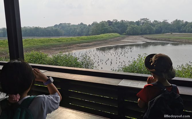 Amazing Guide To Sungei Buloh Wetland Reserve