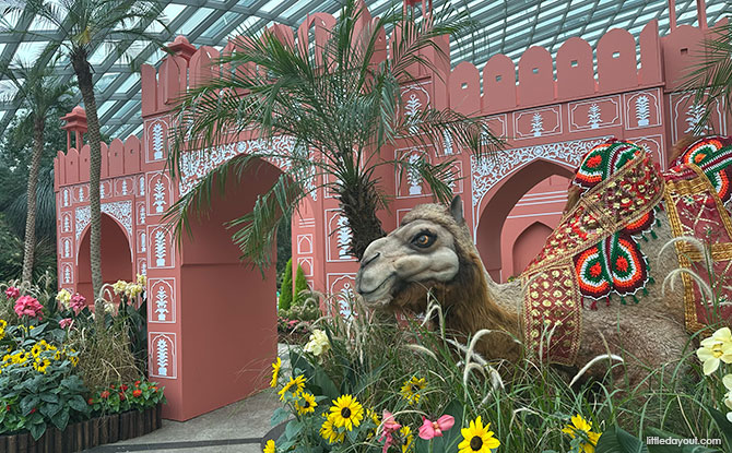 Pink City of India, Jaipur