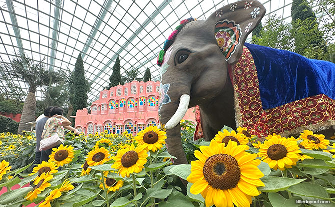 Sunflower Surprise At Gardens By The Bay: The Radiance Of India At The Flower Dome