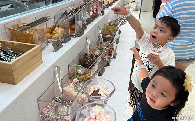 Indulge in 48 Ice-cream Gelato flavors, DIY your own Fusion Dessert