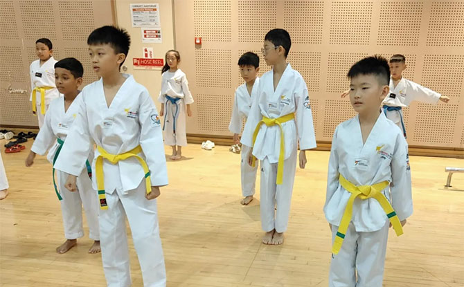 Taekwondonomics