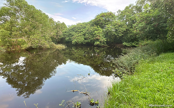 Tampines Eco Green: Back-To-Nature Vibes