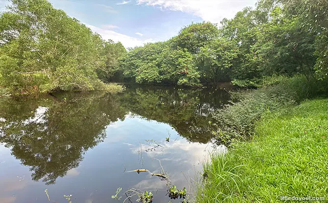 Tampines Eco Green: Get Back To Nature In The East