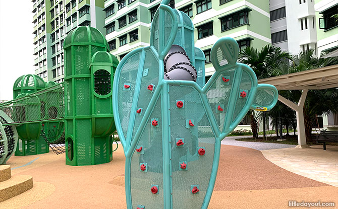 Climbing holds at the cactus playground