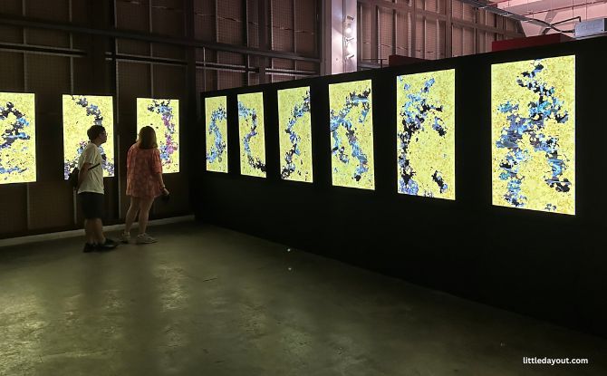 teamLab: Infinite Existence – Exhibition At Supper House 3 Flower and Corpse Glitch - Set of 12