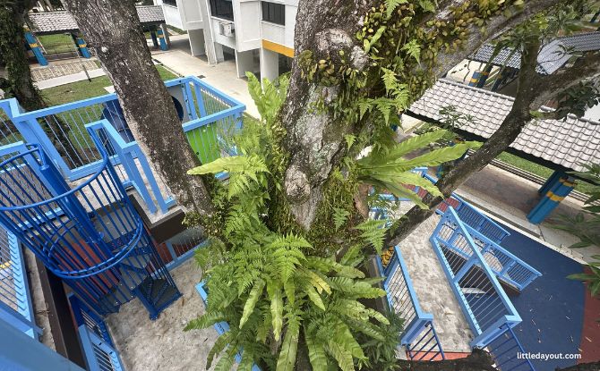 Teck Whye Heights Playground: Elevated Decks With 3 Levels To Explore Around A Tree 7 Teck Whye Heights playground, built around a tree