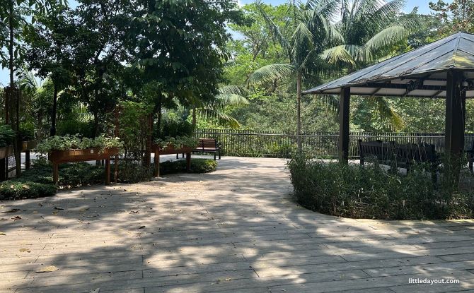 Telok Blangah Hill Park: Henderson Waves & 5 More Reasons To Visit 13 Telok Blangah HIll Park Therapeutic Garden